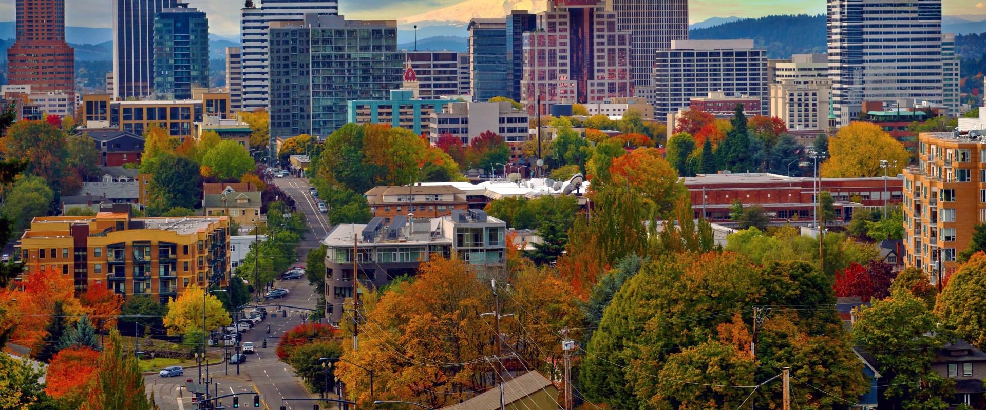 The Best Cities for Vegans to Live In